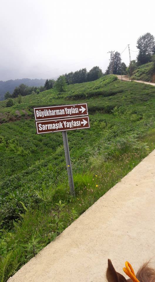 Hayrat Pınarca Köyü Resimleri 5