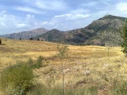 Tunceli Dedeağaç  Köyü Resimleri 7