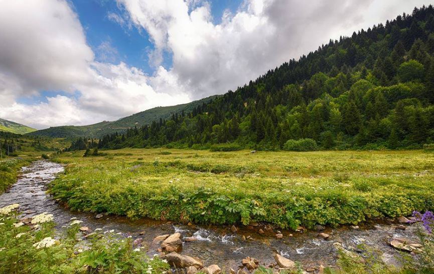 Hayrat Sarmaşık Köyü Resimleri 3