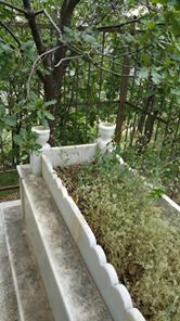 Tunceli Tüllük Köyü Resimleri 3