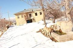 Tunceli Yeşilkaya Köyü Resimleri 1