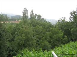 Tunceli Yeşilkaya Köyü Resimleri 2