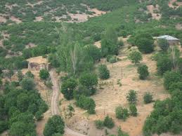 Tunceli Yeşilkaya Köyü Resimleri 3