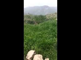 Tunceli Yeşilkaya Köyü Resimleri 4