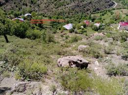 Tunceli Yeşilkaya Köyü Resimleri 5