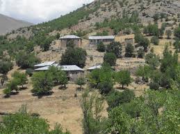 Tunceli Yeşilkaya Köyü Resimleri 6