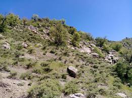 Tunceli Yeşilkaya Köyü Resimleri 7