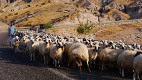 Çemişgezek Akçapınar Köyü Resimleri 1
