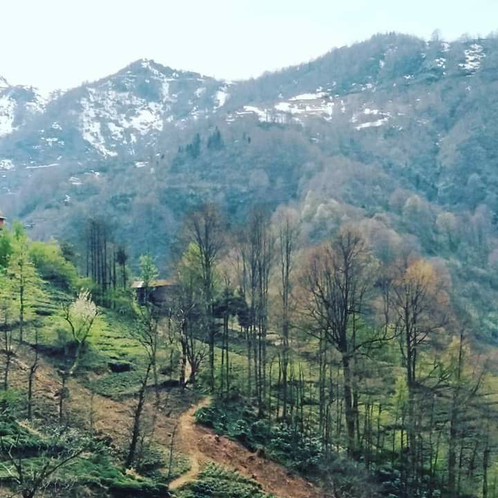 Hayrat Taflancık Köyü Resimleri 12