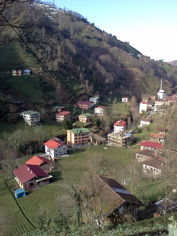 Hayrat Taflancık Köyü Resimleri 14