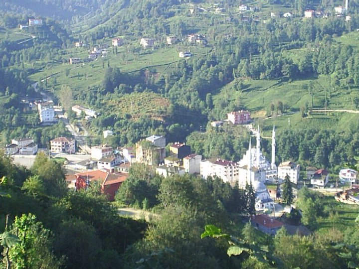 Hayrat Taflancık Köyü Resimleri 16