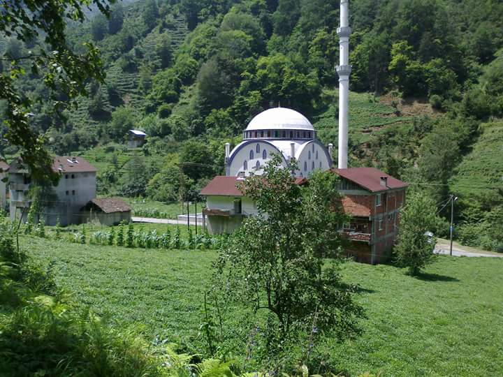 Hayrat Taflancık Köyü Resimleri 20