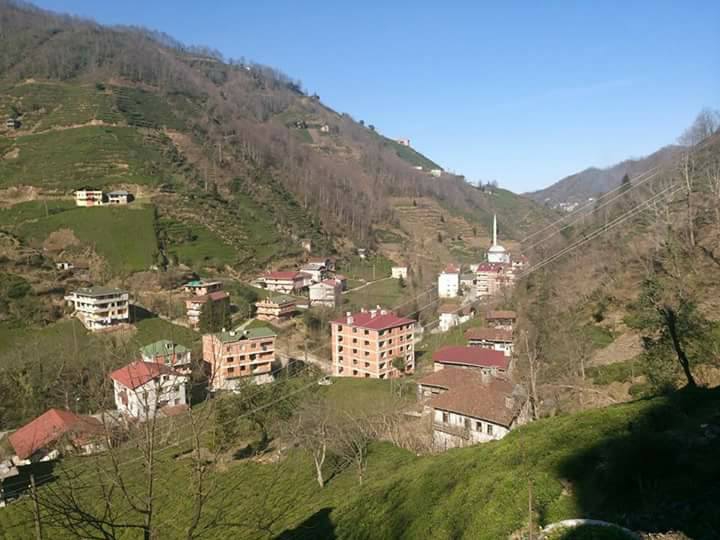 Hayrat Taflancık Köyü Resimleri 9