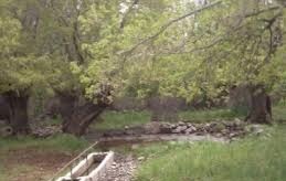 Çemişgezek Bağsuyu Köyü Resimleri 2