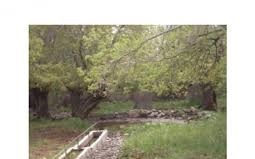 Çemişgezek Bağsuyu Köyü Resimleri 5