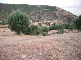 Çemişgezek Bozağaç Köyü Resimleri 2