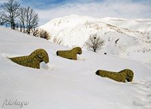 Çemişgezek Kıraçlar Köyü Resimleri 1