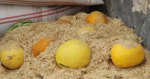 Çemişgezek Kıraçlar Köyü Resimleri 6