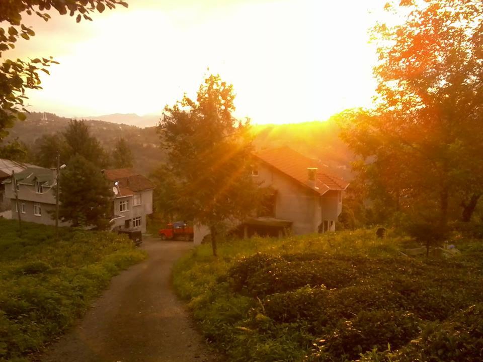 Hayrat Yırca Köyü Resimleri 1