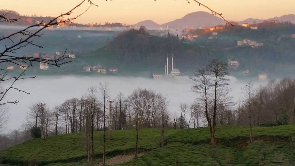 Hayrat Yırca Köyü Resimleri 2
