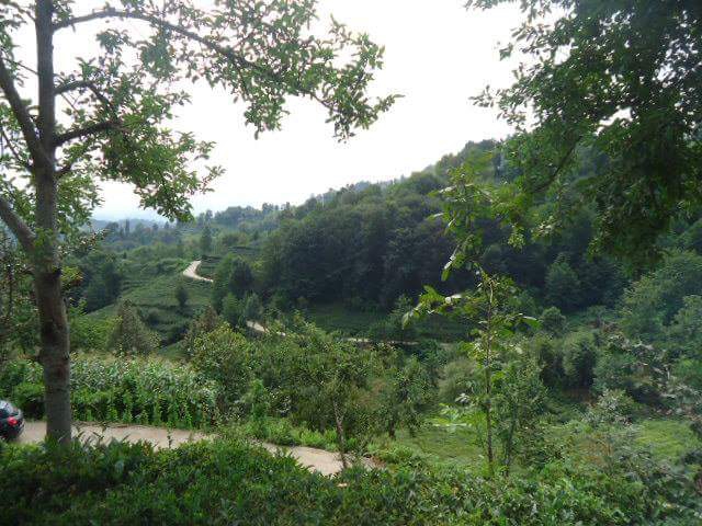 Hayrat Yırca Köyü Resimleri 3