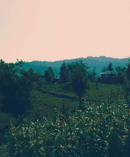 Hayrat Yırca Köyü Resimleri 4