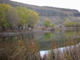 Ağın Yedibağ Köyü Resimleri 3