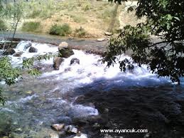 Ağın Yedibağ Köyü Resimleri 4