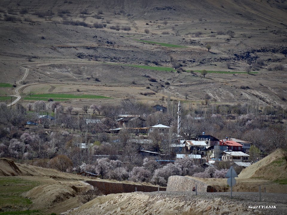 Ağın Yedibağ Köyü Resimleri 5