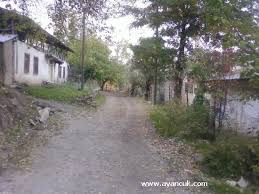 Ağın Yedibağ Köyü Resimleri 6