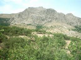 Çemişgezek Ulukale Köyü Resimleri 11