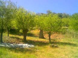 Çemişgezek Ulukale Köyü Resimleri 3