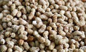 Çemişgezek Ulukale Köyü Resimleri 4