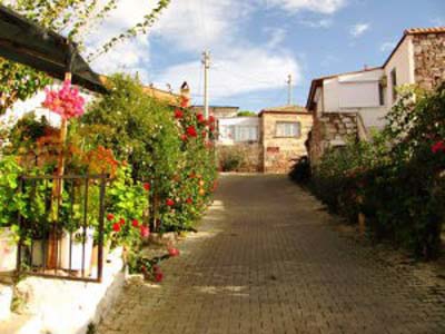 İzmir Çeşme Ildır Köyü Resimleri 23