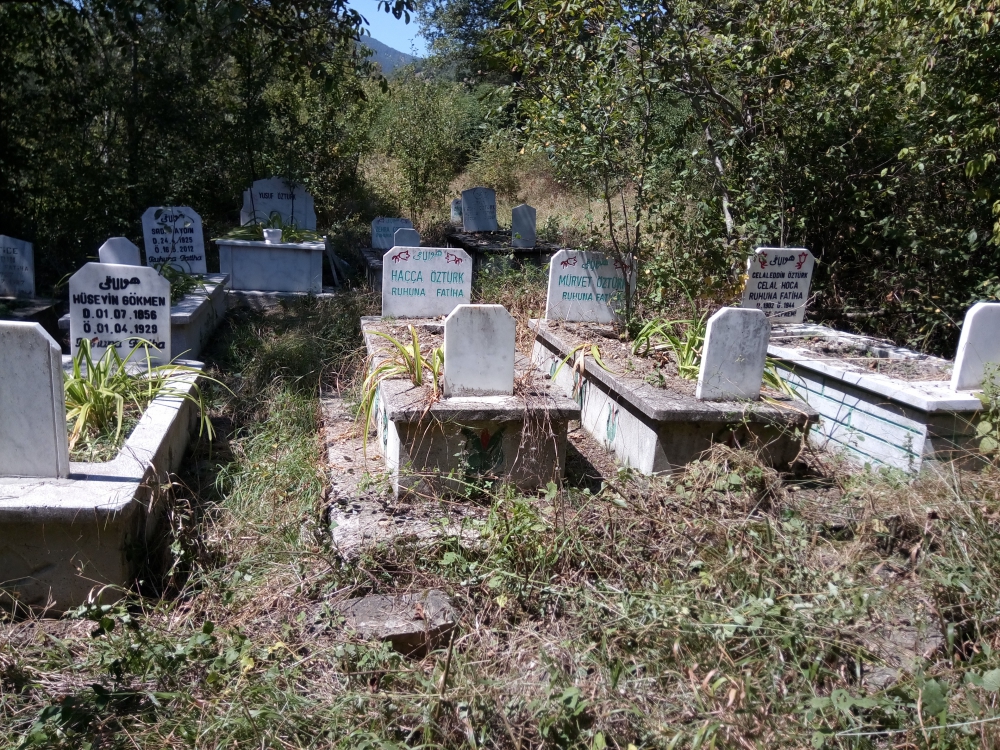 Karabük Mehterler Köyü 2018 Kurban Bayramı Ziyratı yapıldı. 46