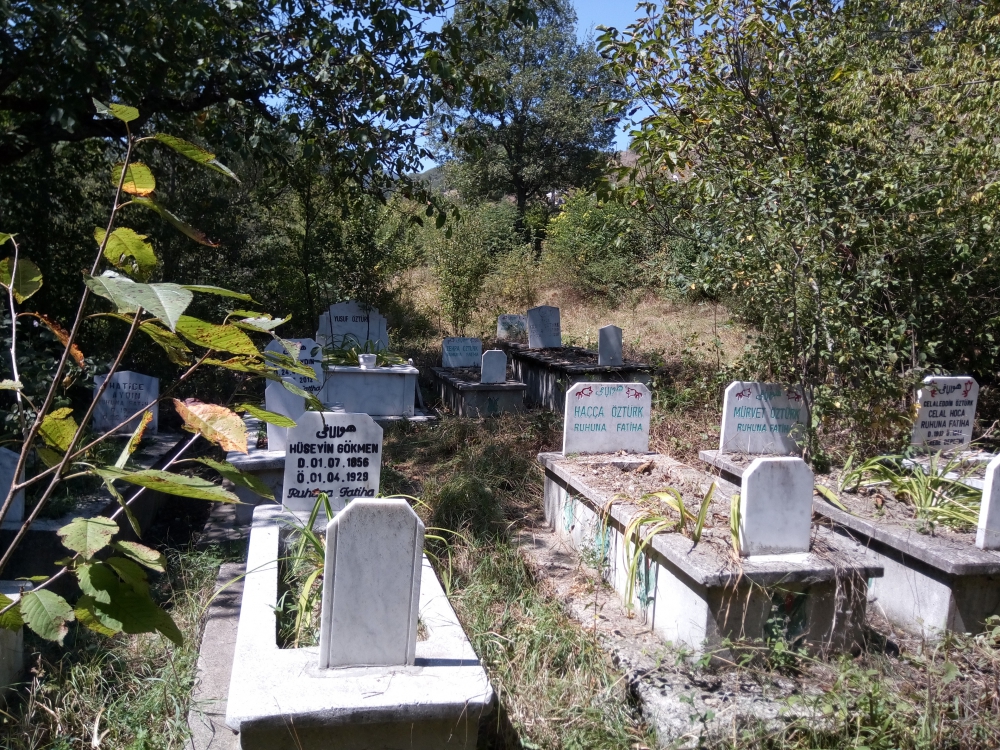 Karabük Mehterler Köyü 2018 Kurban Bayramı Ziyratı yapıldı. 47