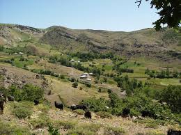 Hozat Boydaş Köyü Resimleri 6