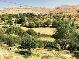 Hozat Buzlupınar Köyü Resimleri 7