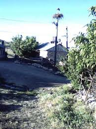 Mazgirt Alanyazı Köyü Resimleri 7