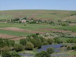 Mazgirt Alanyazı Köyü Resimleri 9