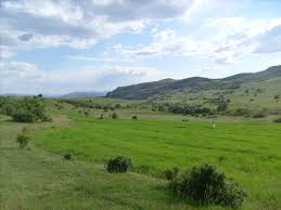 Mazgirt Aşağıoyumca Köyü Resimleri 1