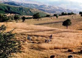 Mazgirt Oymadal Köyü Resimleri 3