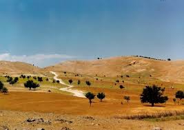 Mazgirt Oymadal Köyü Resimleri 4