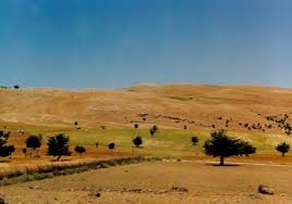 Mazgirt Oymadal Köyü Resimleri 6