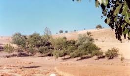 Mazgirt Oymadal Köyü Resimleri 7