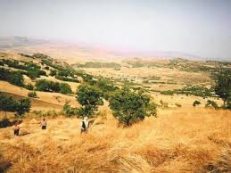 Mazgirt Yazeli Köyü Resimleri 10