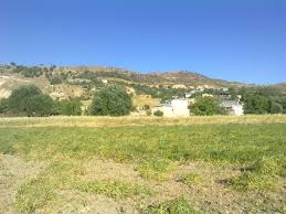 Mazgirt Yazeli Köyü Resimleri 6