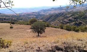 Mazgirt Gelinpınar Köyü Resimleri 7