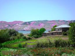 Mazgirt Gelinpınar Köyü Resimleri 8