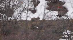 Mazgirt Kepektaşı Köyü Resimleri 7